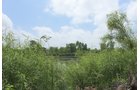 Lake County, Indiana farmland - LAND AUCTION - 147+/- ACRES OFFERED IN 3 TRACTS IN LAKE COUNTY, INDIANA